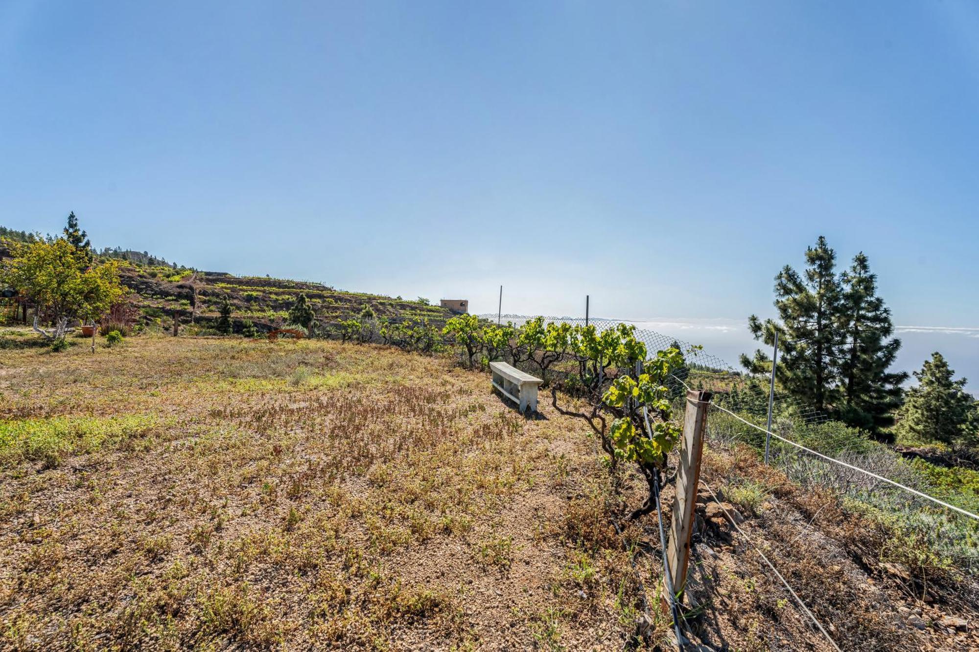 Villa Land Of Dreams 2 Granadilla De Abona Exterior foto
